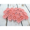 Kwiaty cukrowe stokrotka różowa 20 sztuk